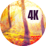 Autumn wallpapers icon