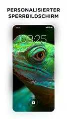 Tägliche Tapeten 4K XAPK Herunterladen