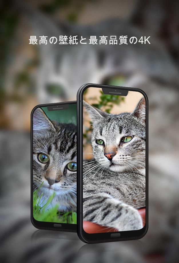 Android 用の 壁紙 猫 Apk をダウンロード