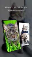 Papéis de parede 4K com gatos imagem de tela 1