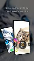 Papéis de parede 4K com gatos imagem de tela 2