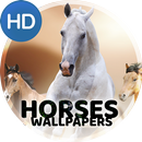 Wallpapers 4K met paarden-APK