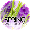 Wallpaper pada musim bunga