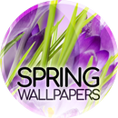 Lente wallpapers-APK