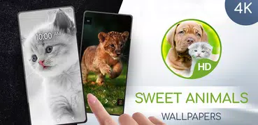 Wallpapers cute animals