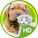 Achtergronden schattige dieren-APK