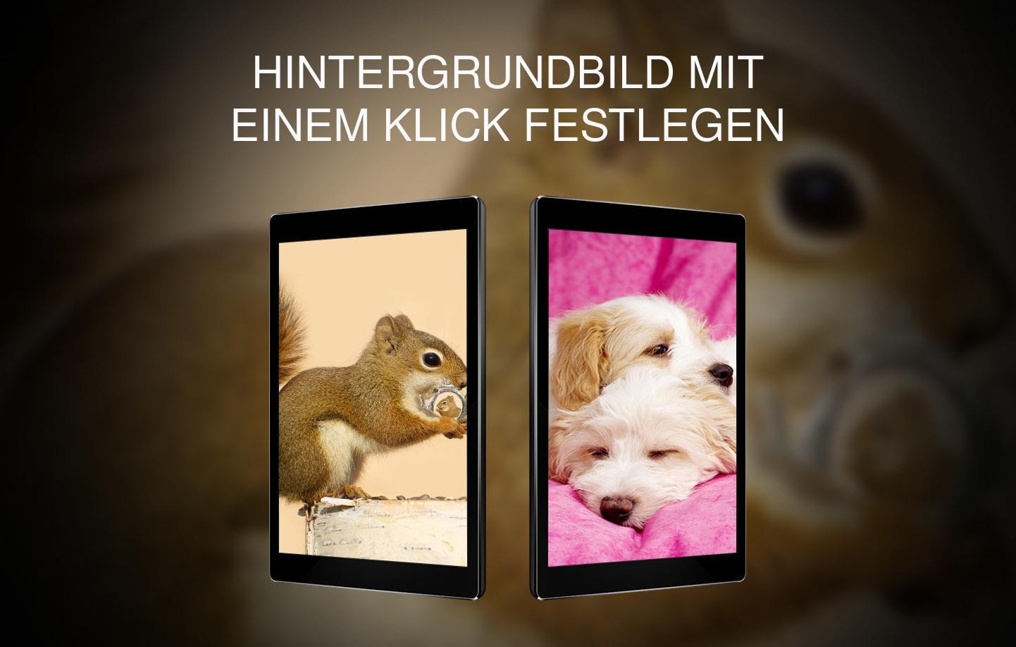 Hintergrunde Mit Sussen Tieren Fur Android Apk Herunterladen