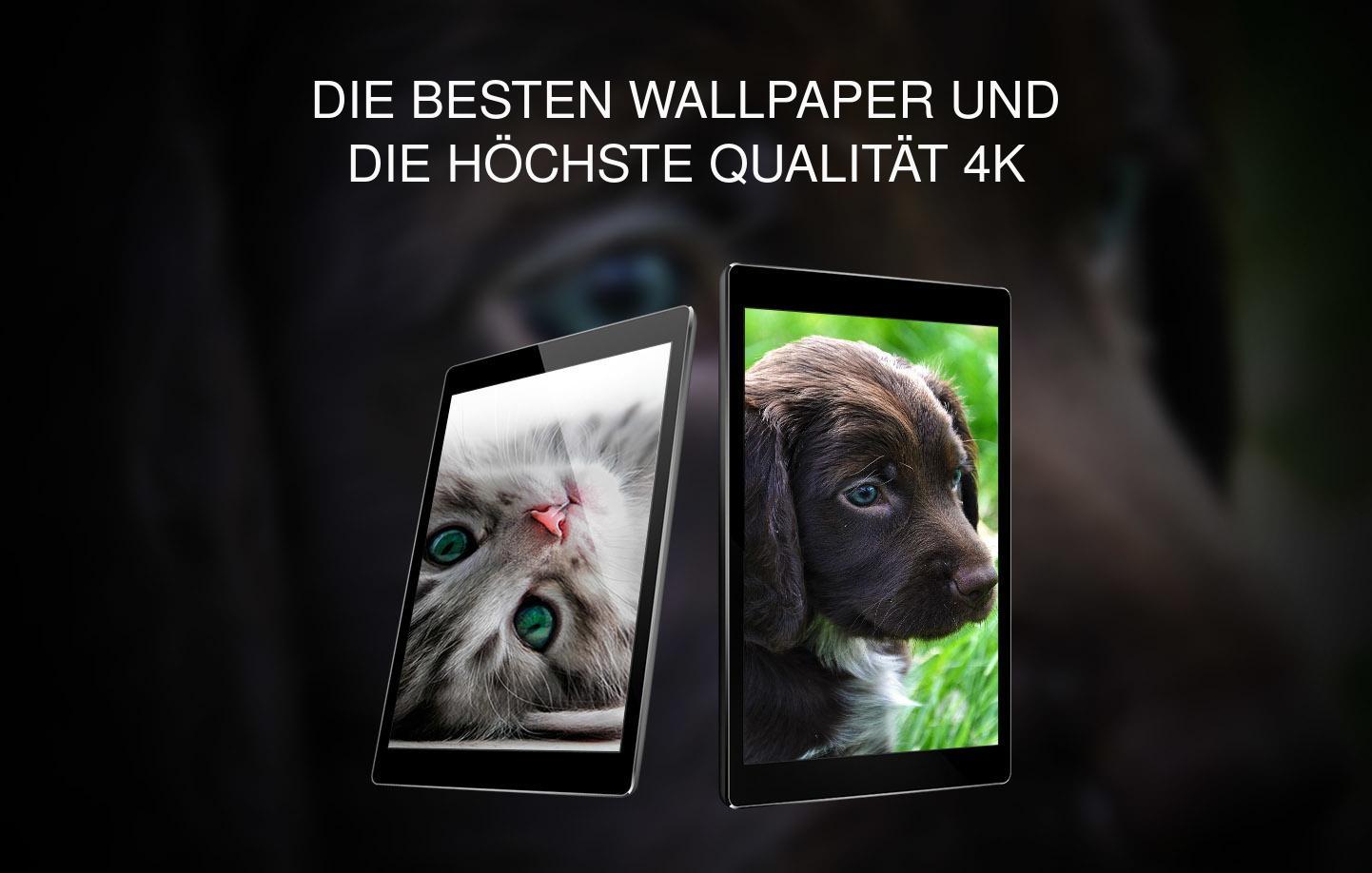 Hintergrunde Mit Sussen Tieren Fur Android Apk Herunterladen