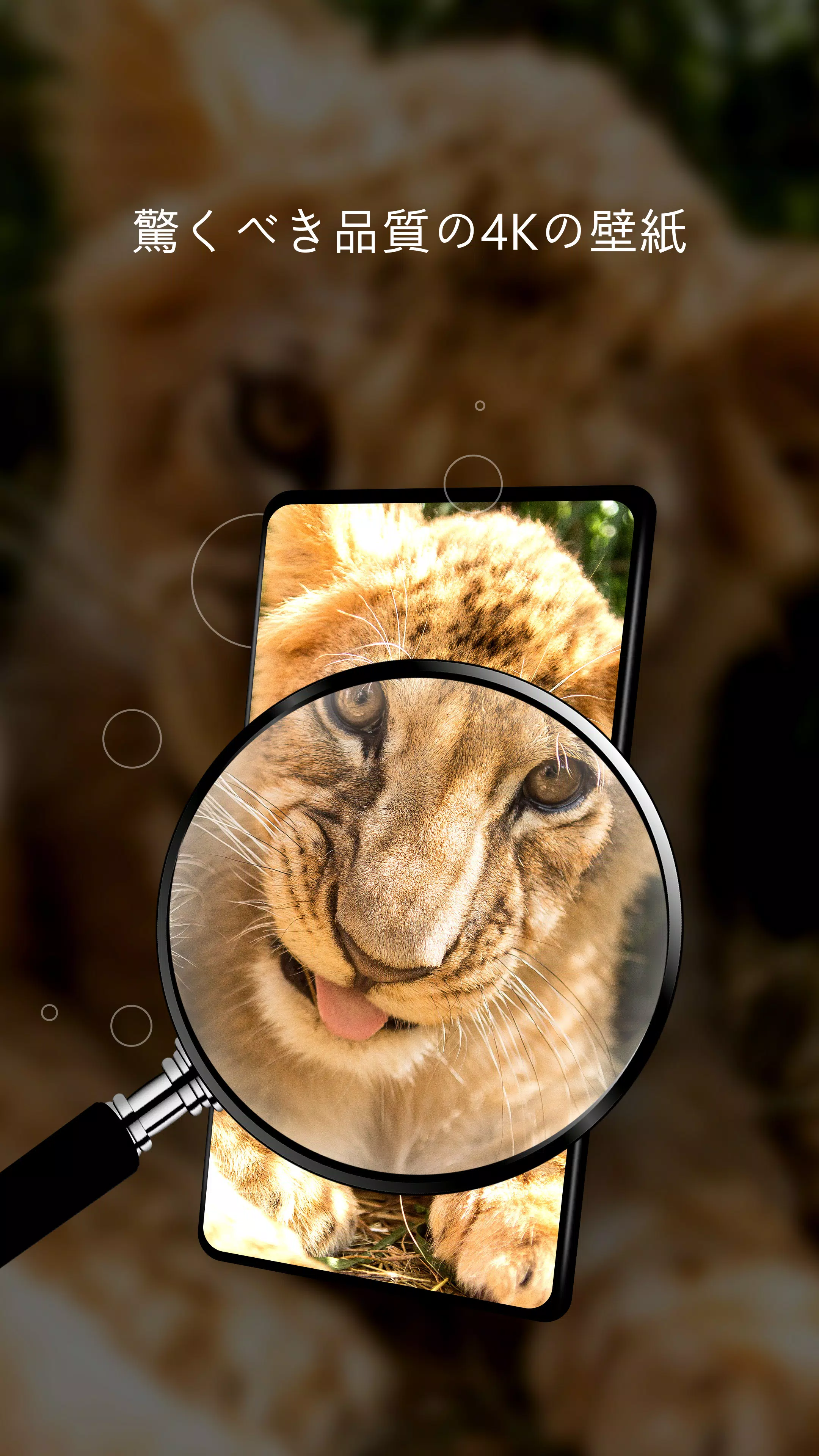 Android 用の かわいい動物の壁紙 Apk をダウンロード