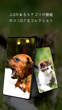 Android 用の かわいい動物の壁紙 Apk をダウンロード