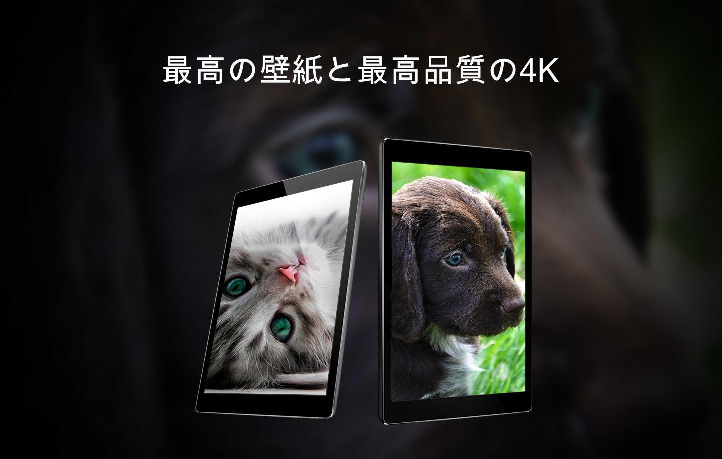Android 用の かわいい動物の壁紙 Apk をダウンロード
