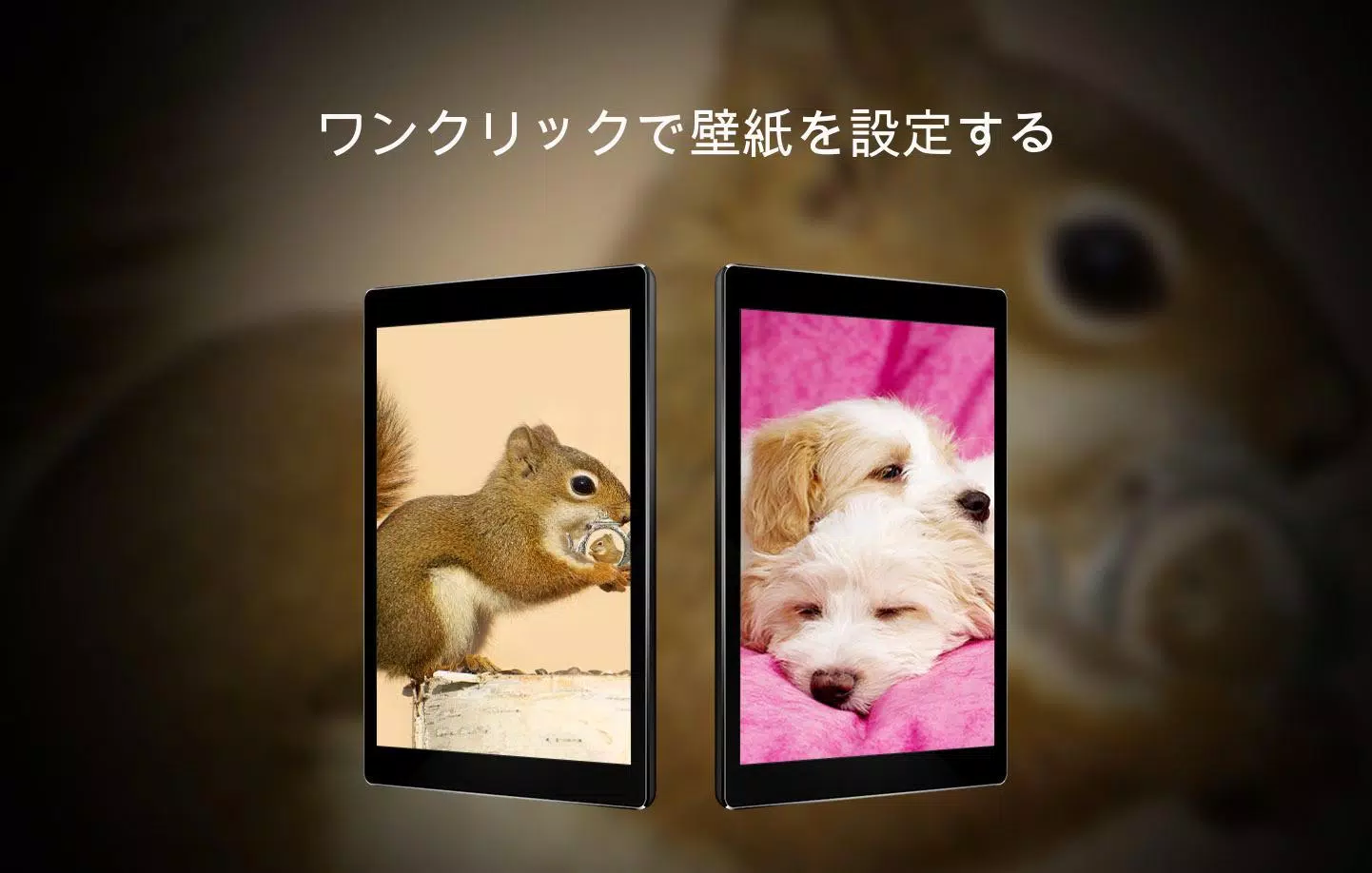 Android 用の かわいい動物の壁紙 Apk をダウンロード