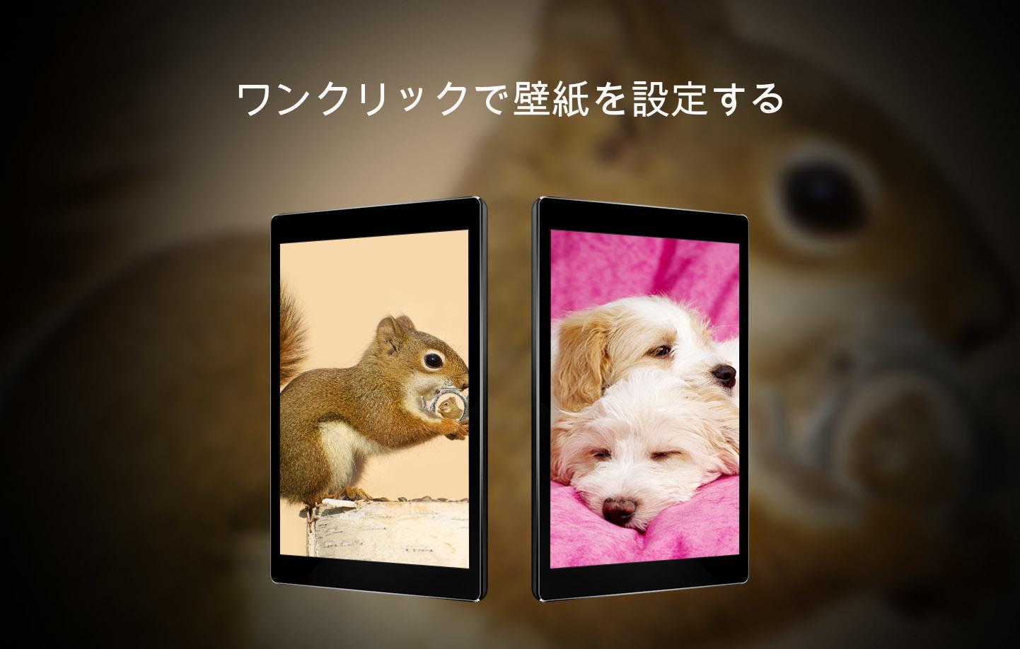 Android 用の かわいい動物の壁紙 Apk をダウンロード Android 用の かわいい動物の壁紙 Apk をダウンロード