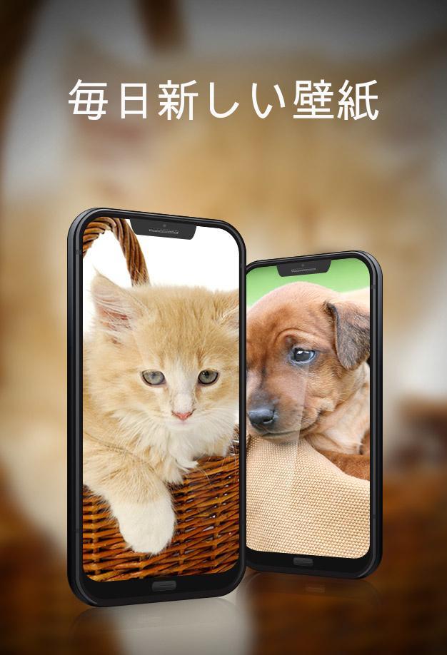 Android 用の かわいい動物の壁紙 Apk をダウンロード