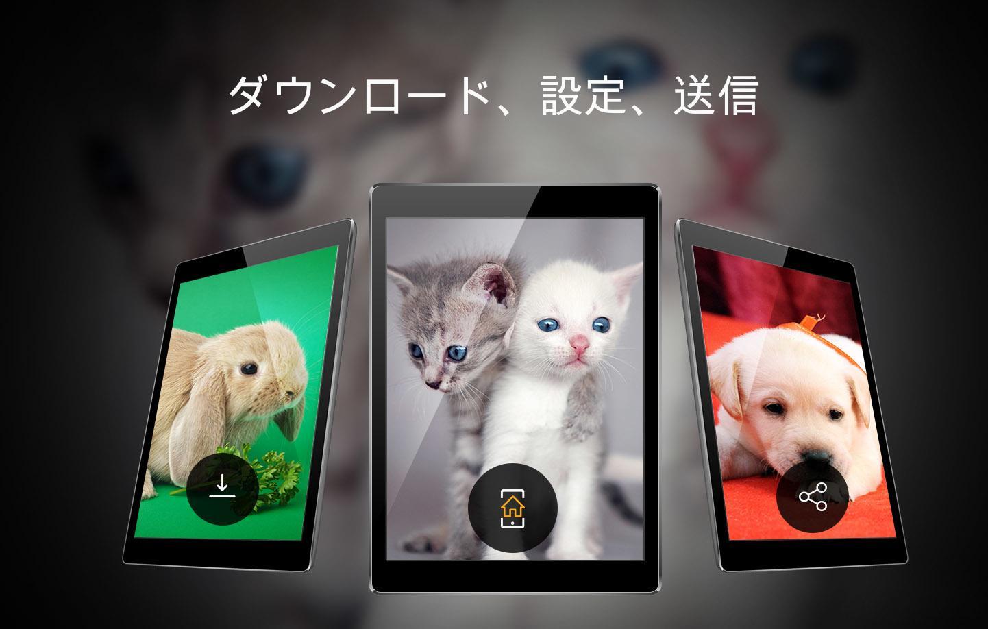 Android 用の かわいい動物の壁紙 Apk をダウンロード