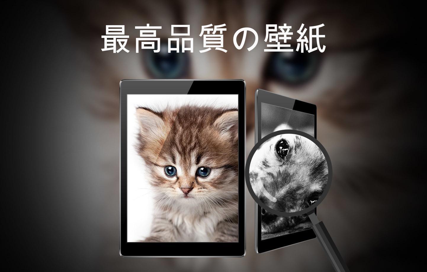 Android 用の かわいい動物の壁紙 Apk をダウンロード