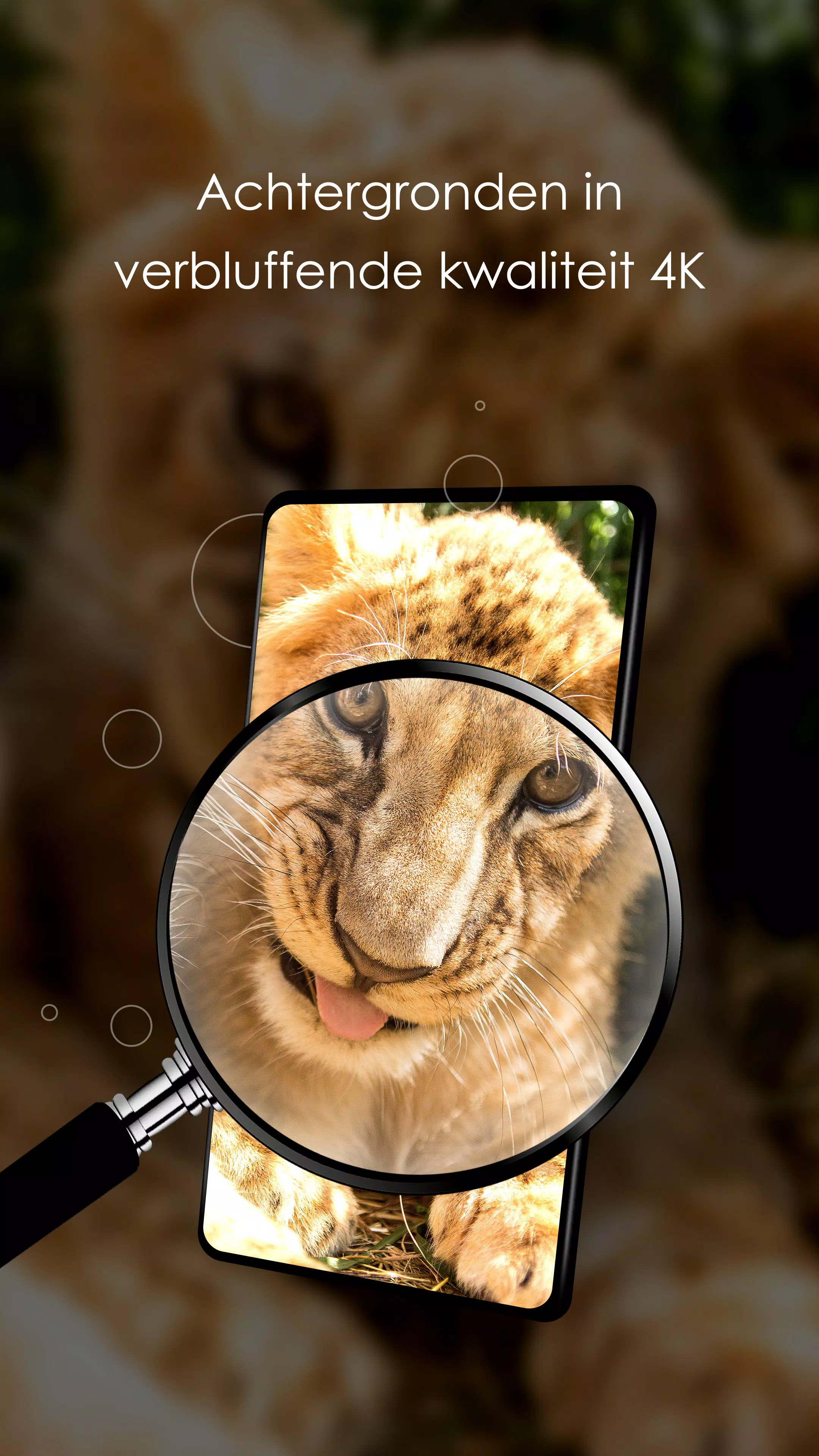 Achtergronden schattige dieren APK voor Android Download Achtergronden Schattige Dieren Apk Voor Android Download
