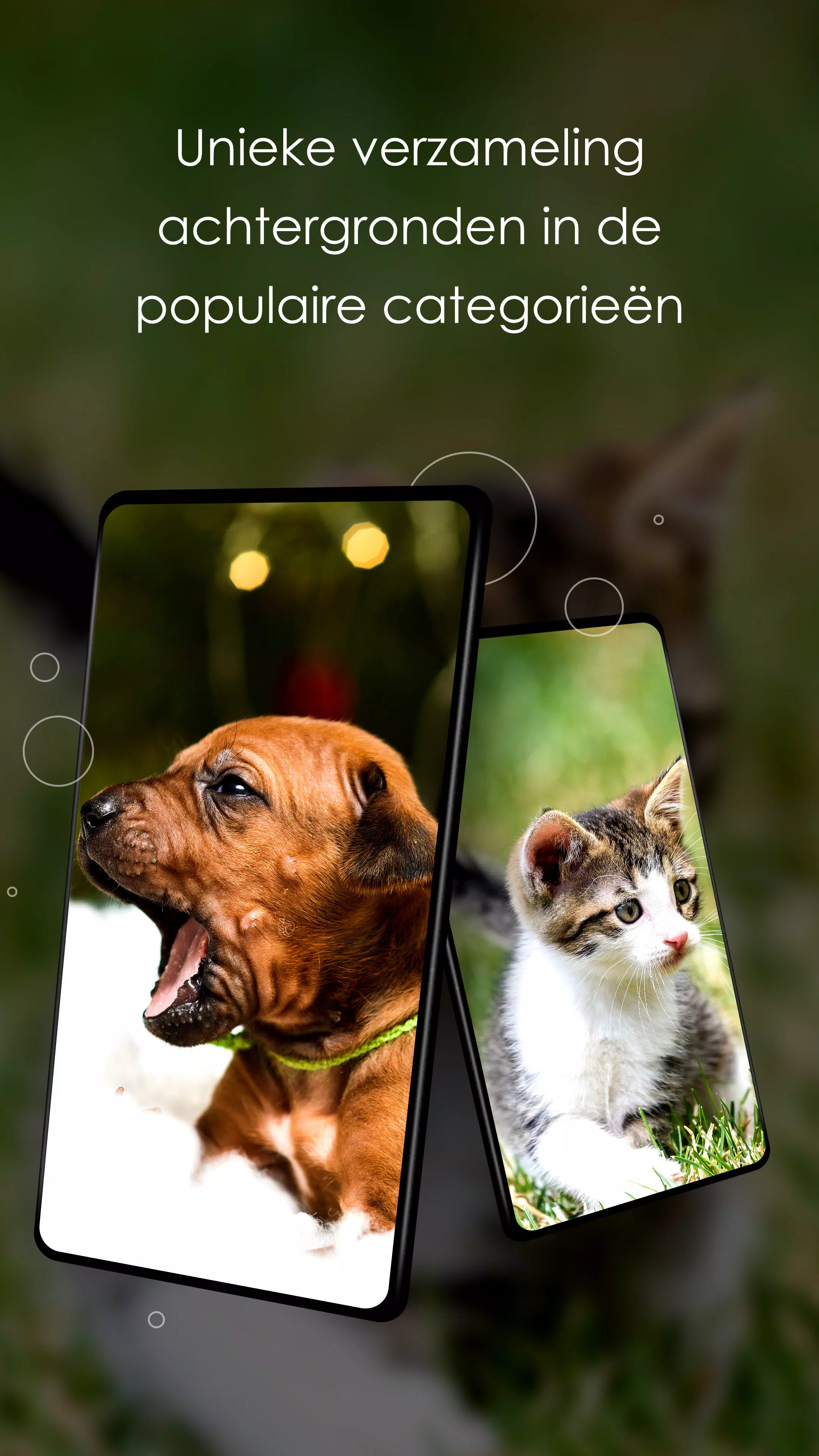 Achtergronden schattige dieren APK voor Android Download Achtergronden Schattige Dieren Apk Voor Android Download