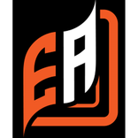 E. ACCESS API (Website Owners)