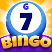 Bingo Carnival - Relax and Fun