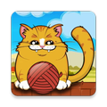 Playful Kitty