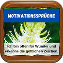 Motivationssprüche Für Jeden Tag Kostenlos APK