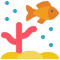 Bubble Fish