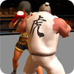 Fight MMA UFC Karate Kung Fu
