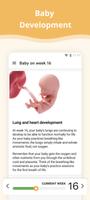 1 Schermata Pregnancy