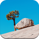 Earth Wallpaper HD APK