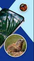 برنامه‌نما Plant & Animal ID・EarthSnap عکس از صفحه