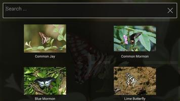 Butterflies & Bees capture d'écran 3