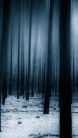 Forest Wallpapers screenshot 2
