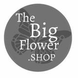 The Big Flower Shop