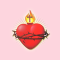 sacred heart cathedral  - Ooty