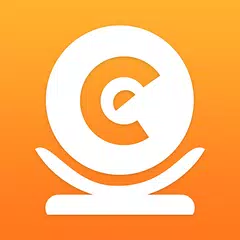 Ebitcam XAPK download