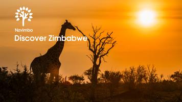 Nzvimbo(Travel&Dine): React Native-poster