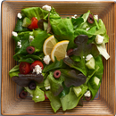 Salad Recipes Offline APK