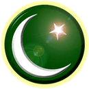 Pakistan TV LIVE APK