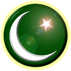 Pakistan TV आइकन