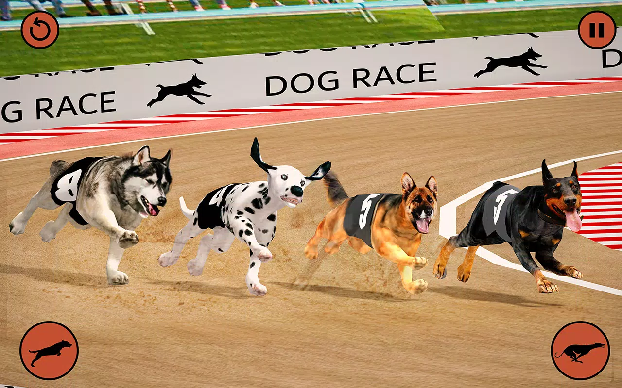 Dog Race Game 2020: Animal New Games Simulator Game for Android - Download