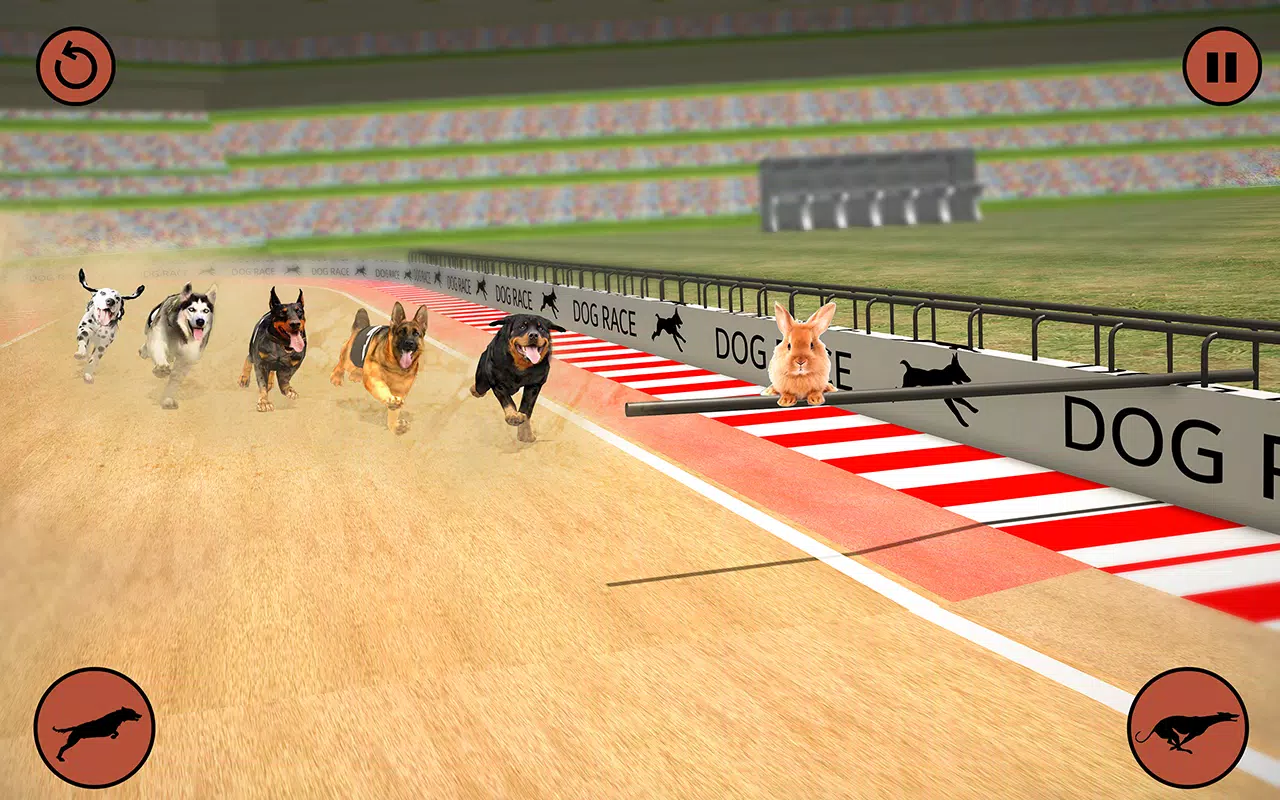 Buy CRAZY DOG RACING 3D Android Mobile Games