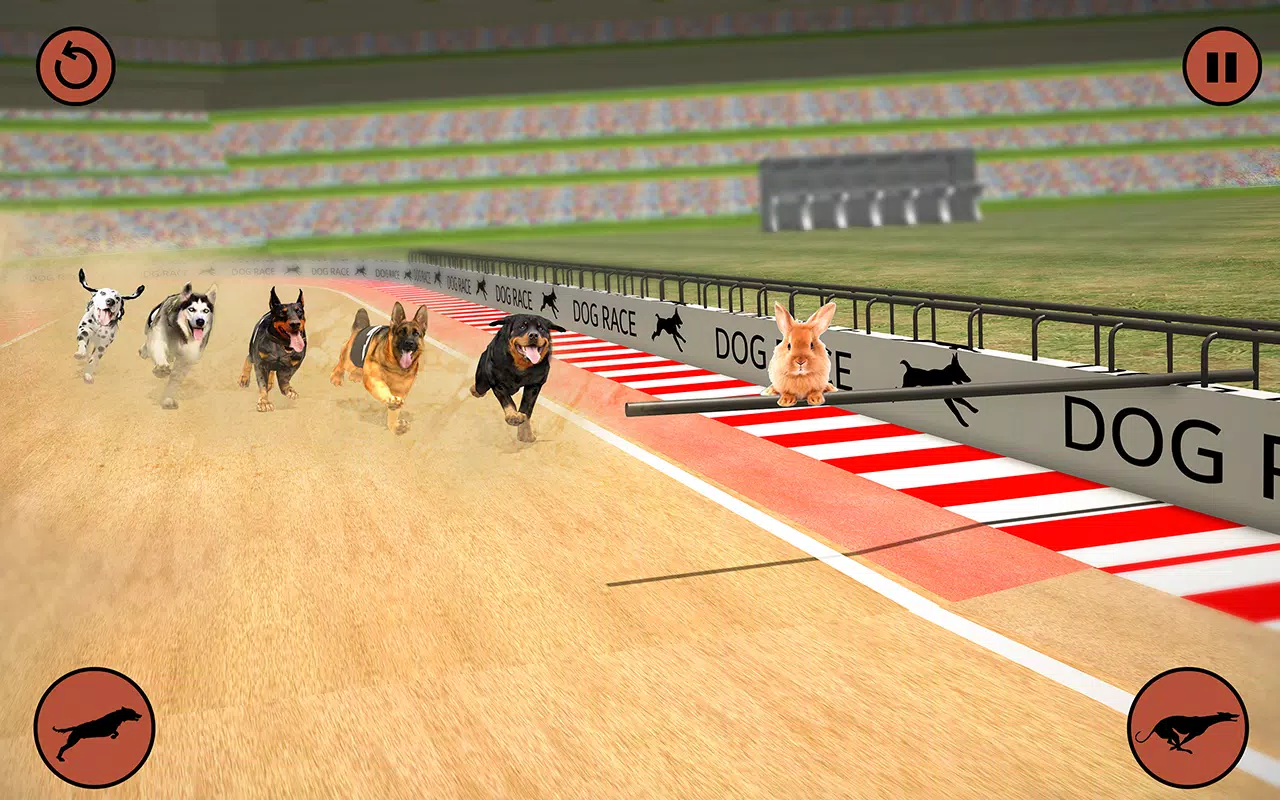 Crazy Dog Racing Fever Game, Running- Play Online Free Games 