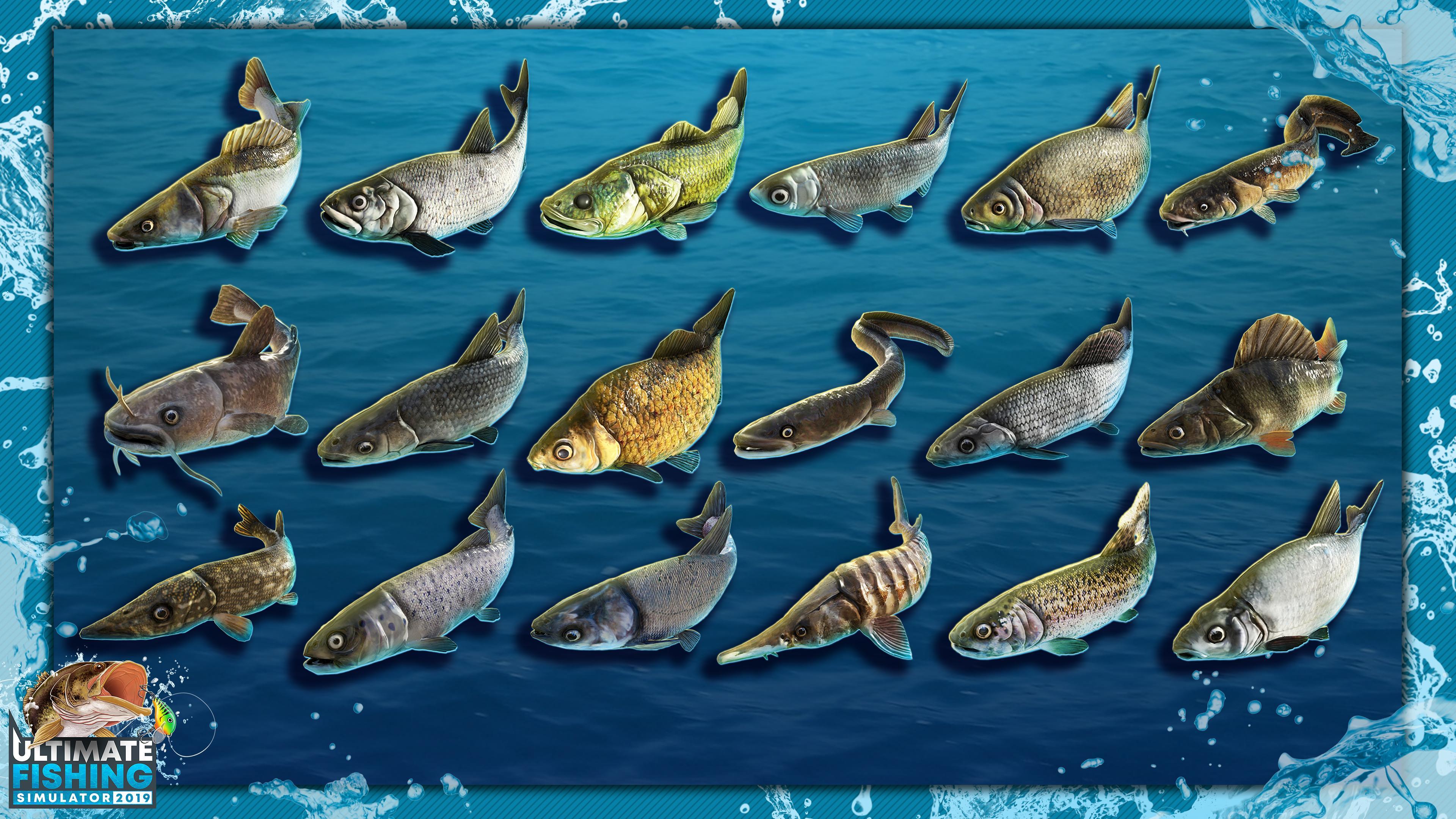 Ultimate Fishing Simulator Pro For Android Apk Download