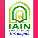 E-Campus IAIN Bukit Tinggi APK