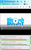 Video Downloader تصوير الشاشة 1