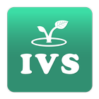 E-Card IVS icon