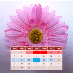 Mein Menstruationskalender XAPK Herunterladen