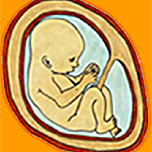 Fetal Kick Count