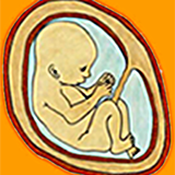 Fetal Kick Count-APK